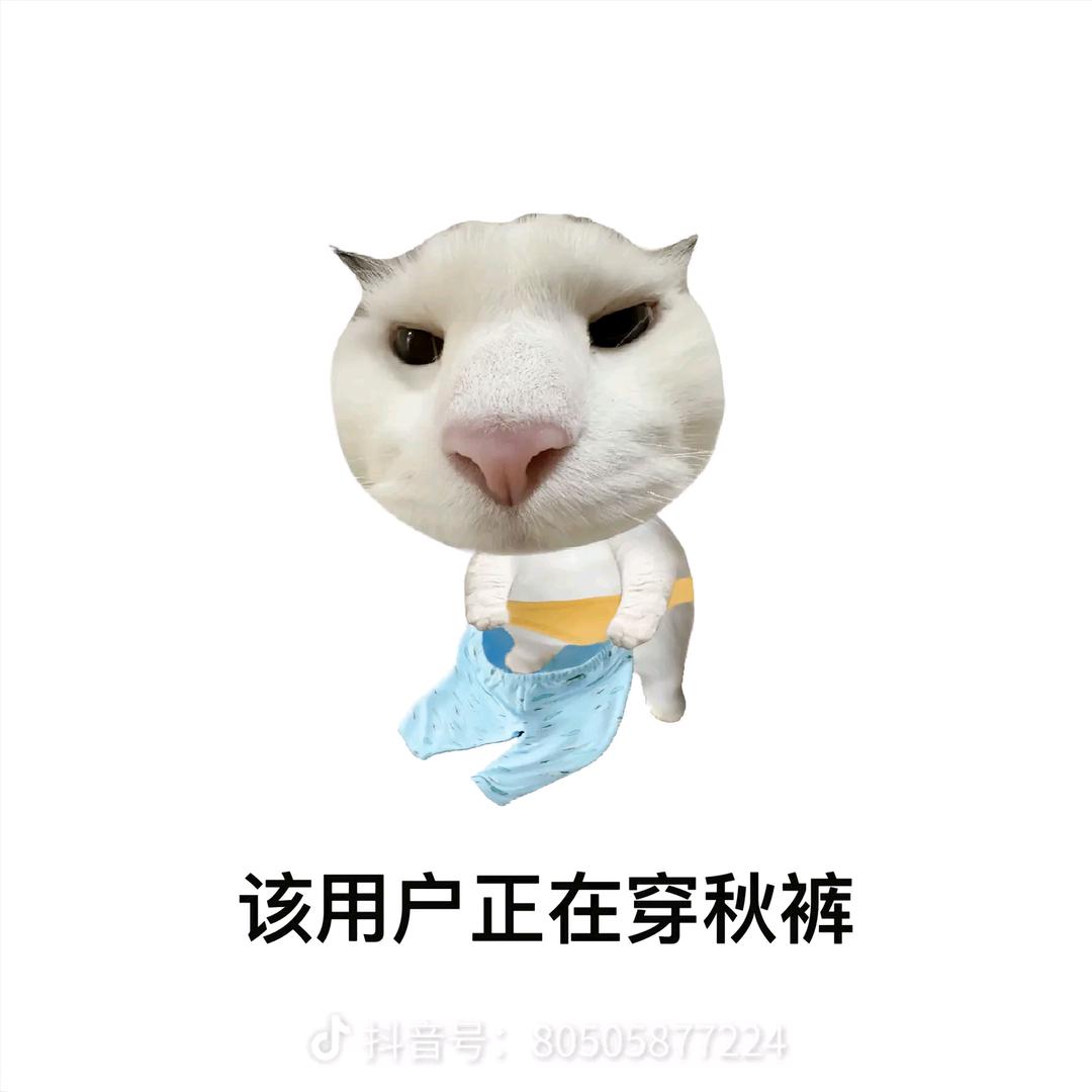 一只肥.💤