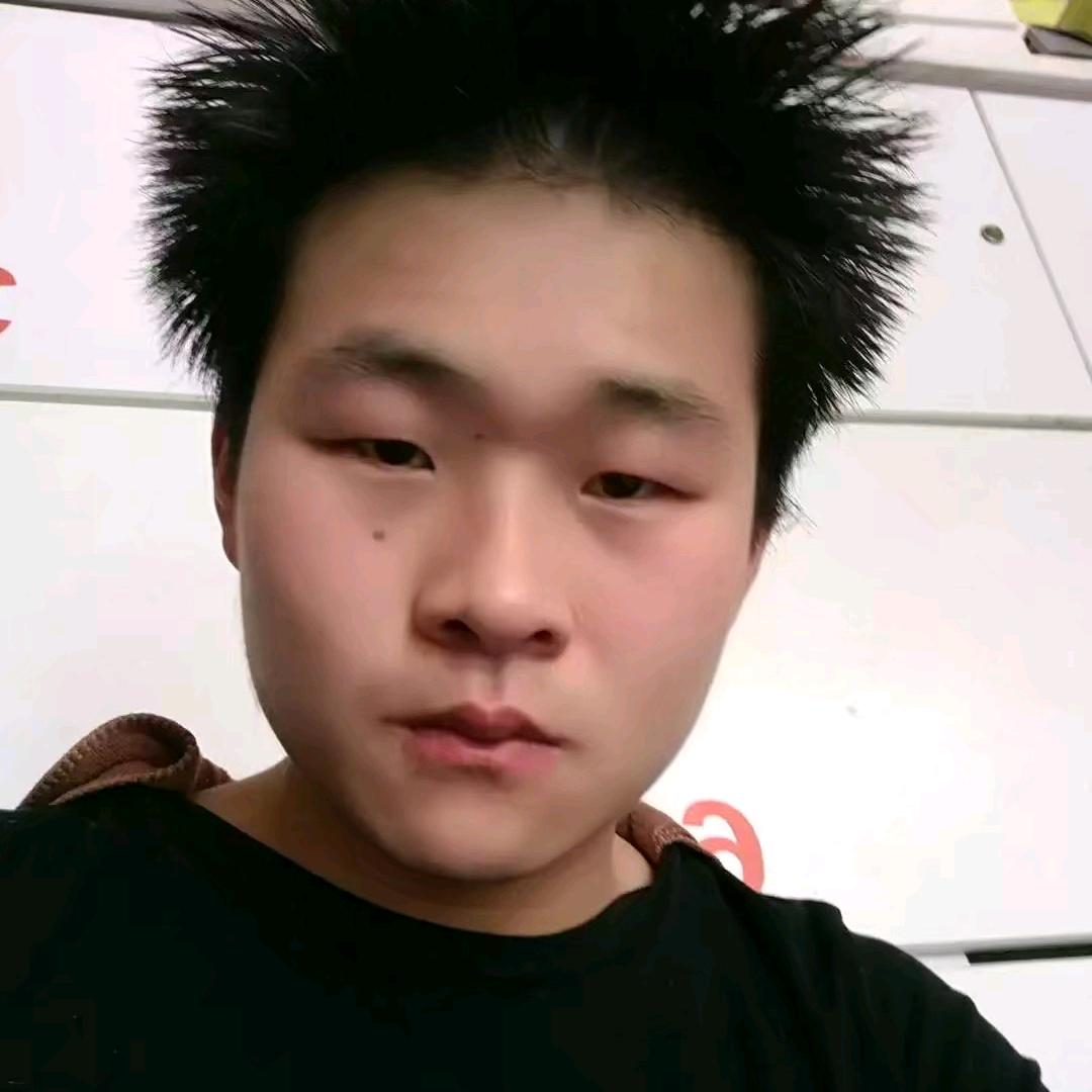龙马奔腾