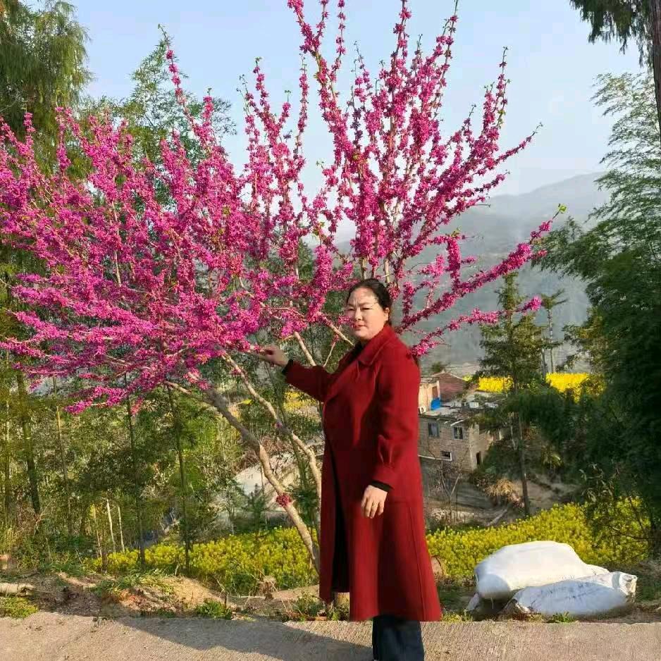 🌹🌹🌹🌹