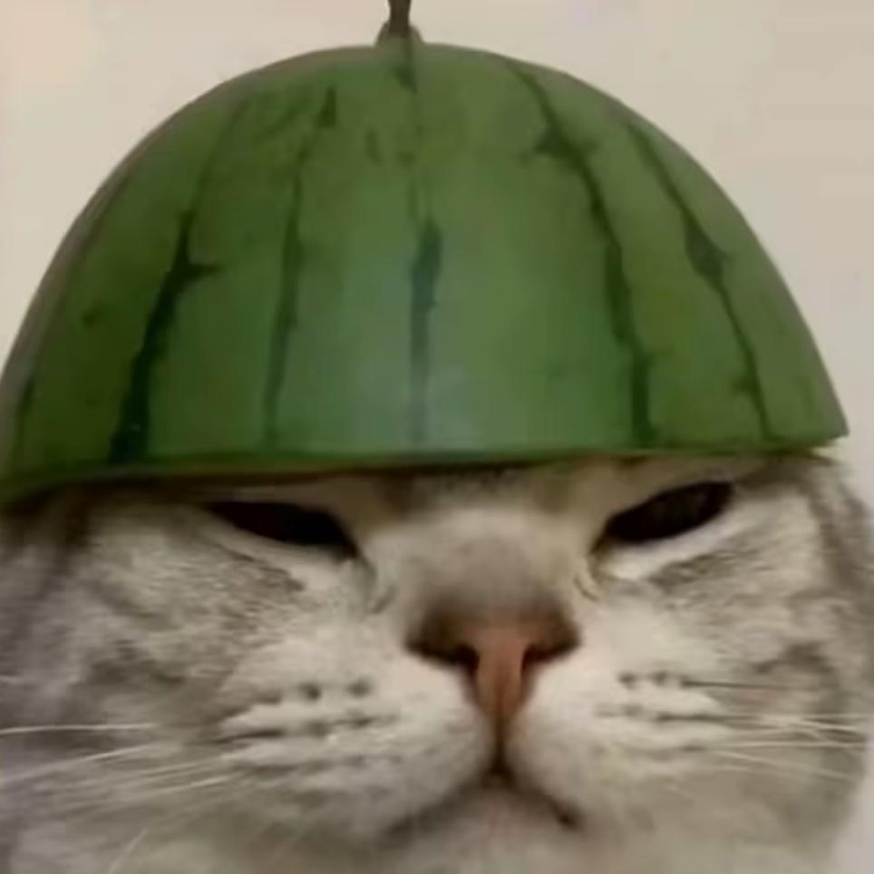 轩轩（暗区突围）