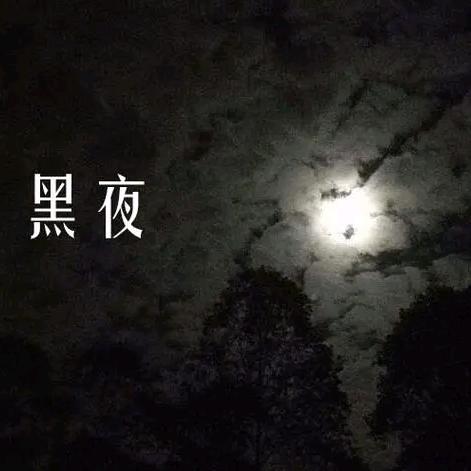 宝可梦大集结黑夜