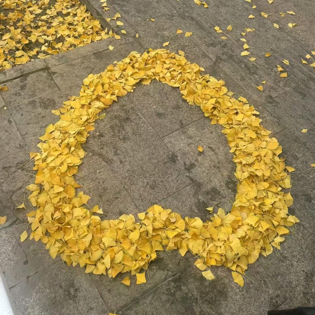 @撑伞一人行
