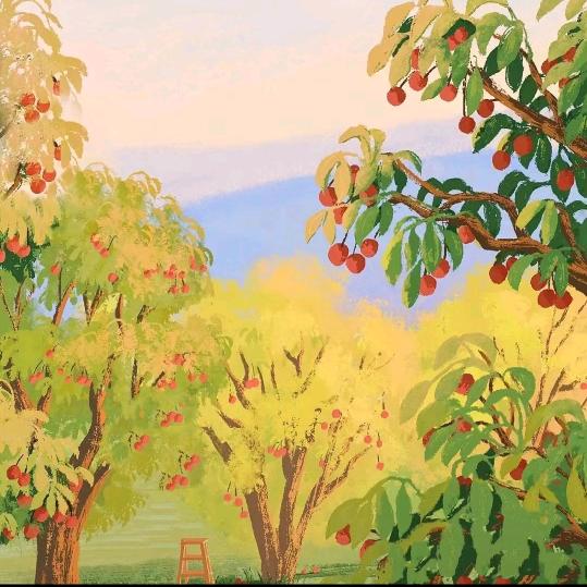 莫名其妙的明天