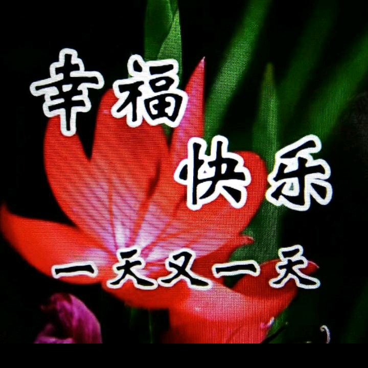 乔玉
