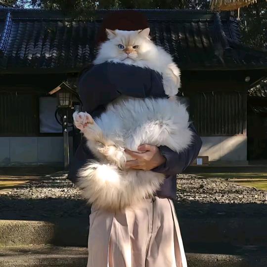 00小张