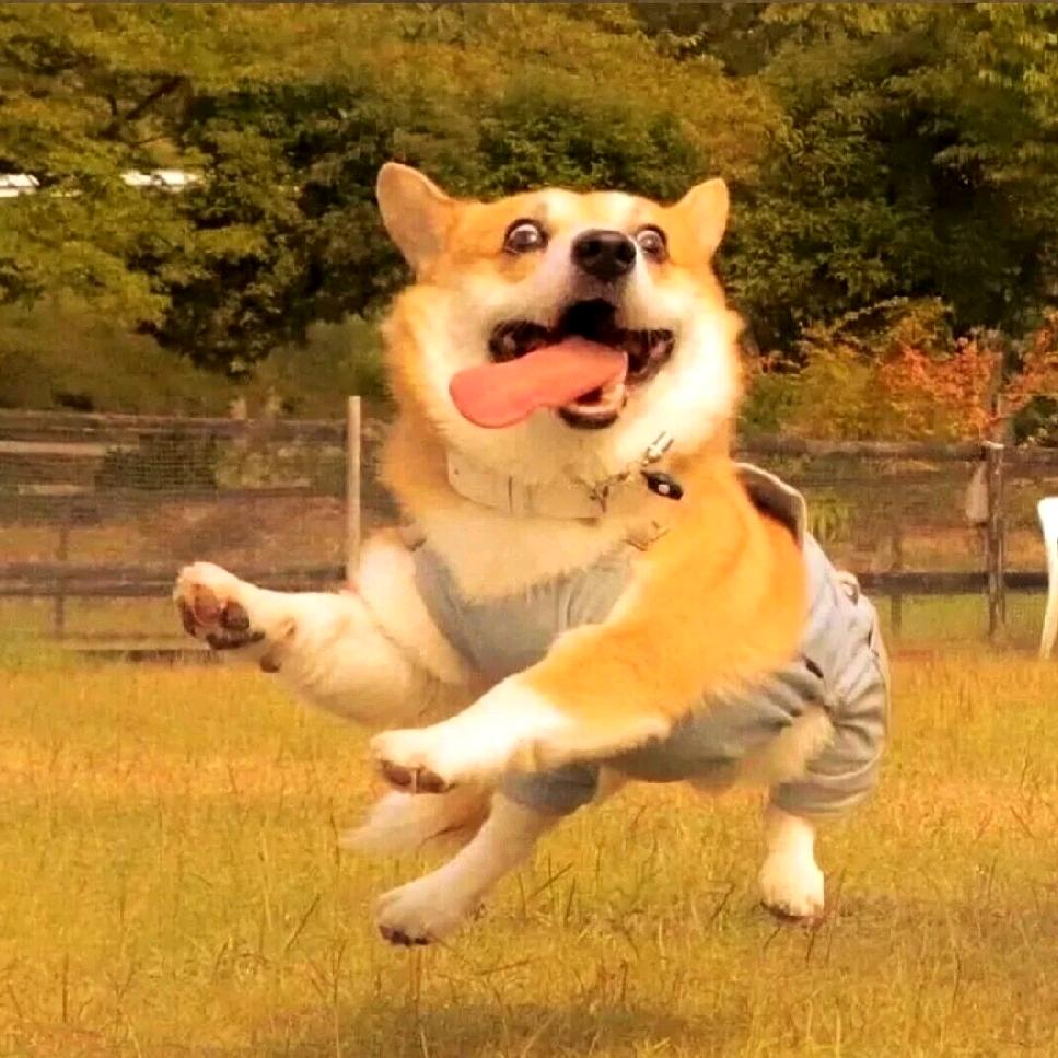 小磊手绘