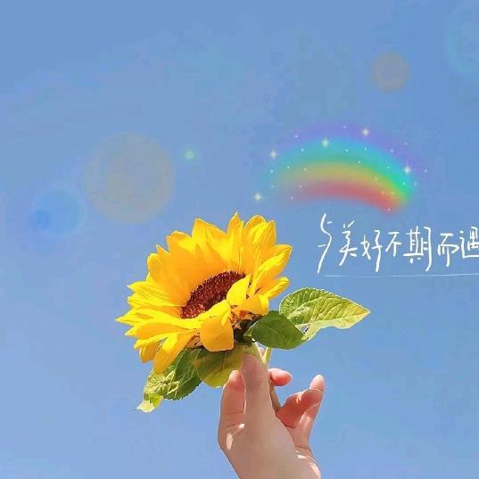 ╭(如果╯ε╰)╮那╭(只是如果🌻