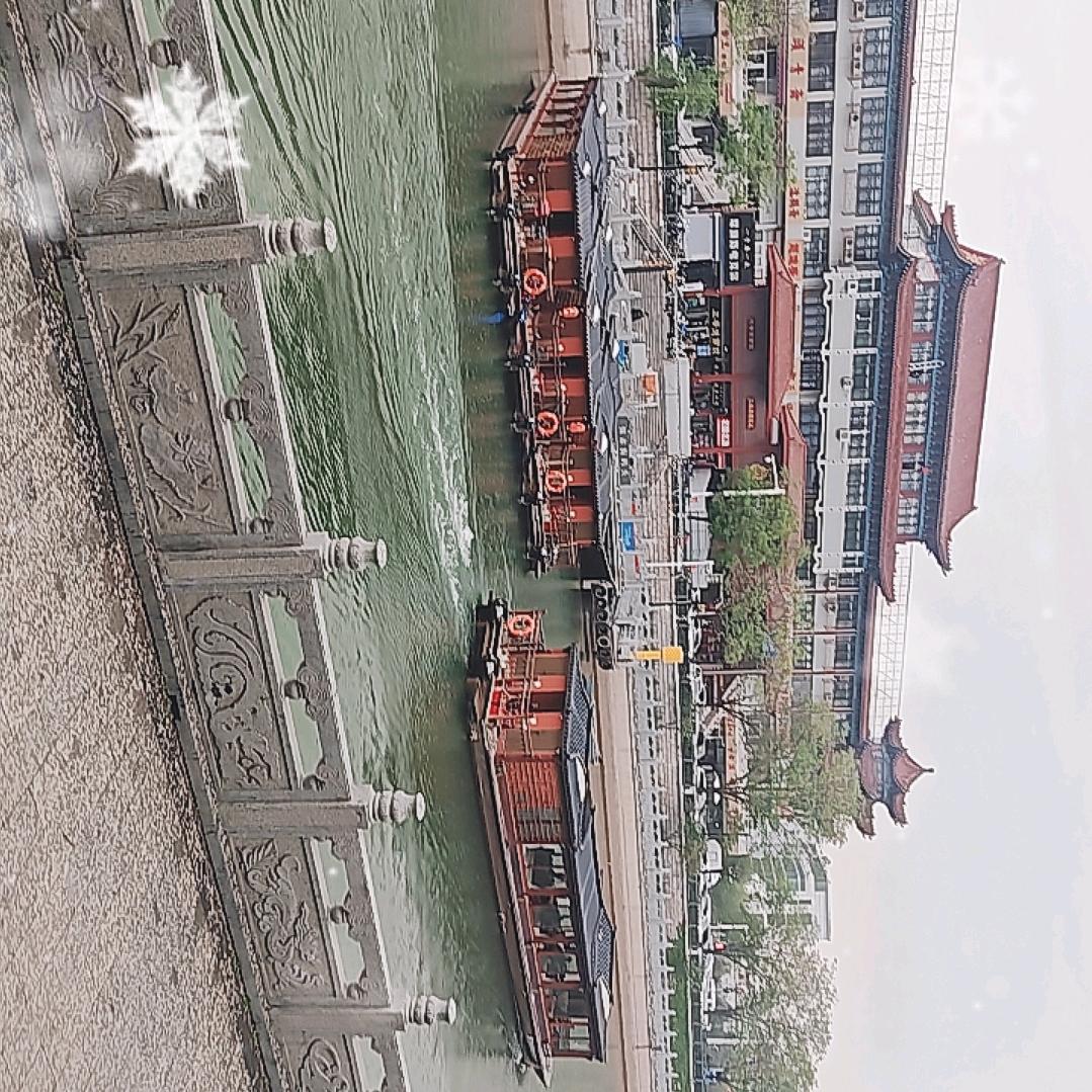 才歌情