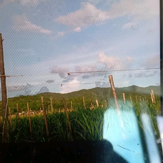 朗诗德净水行业代理商