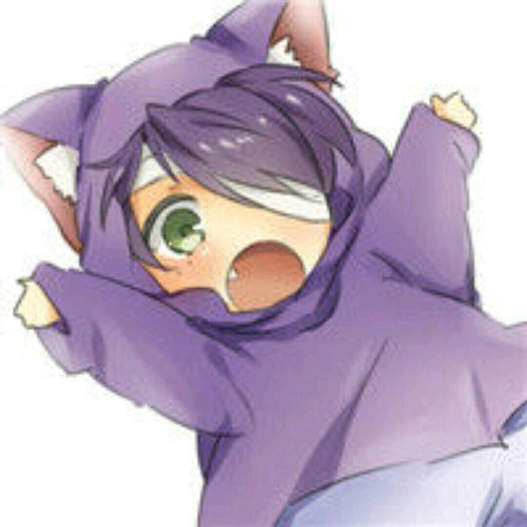 无敌熊猫王