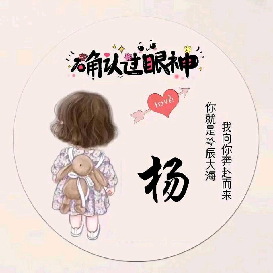 河南你杨姐