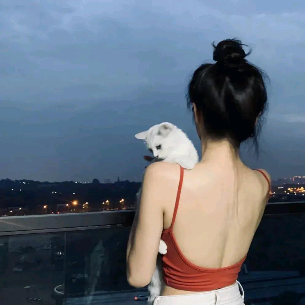 脆皮小蝴蝶