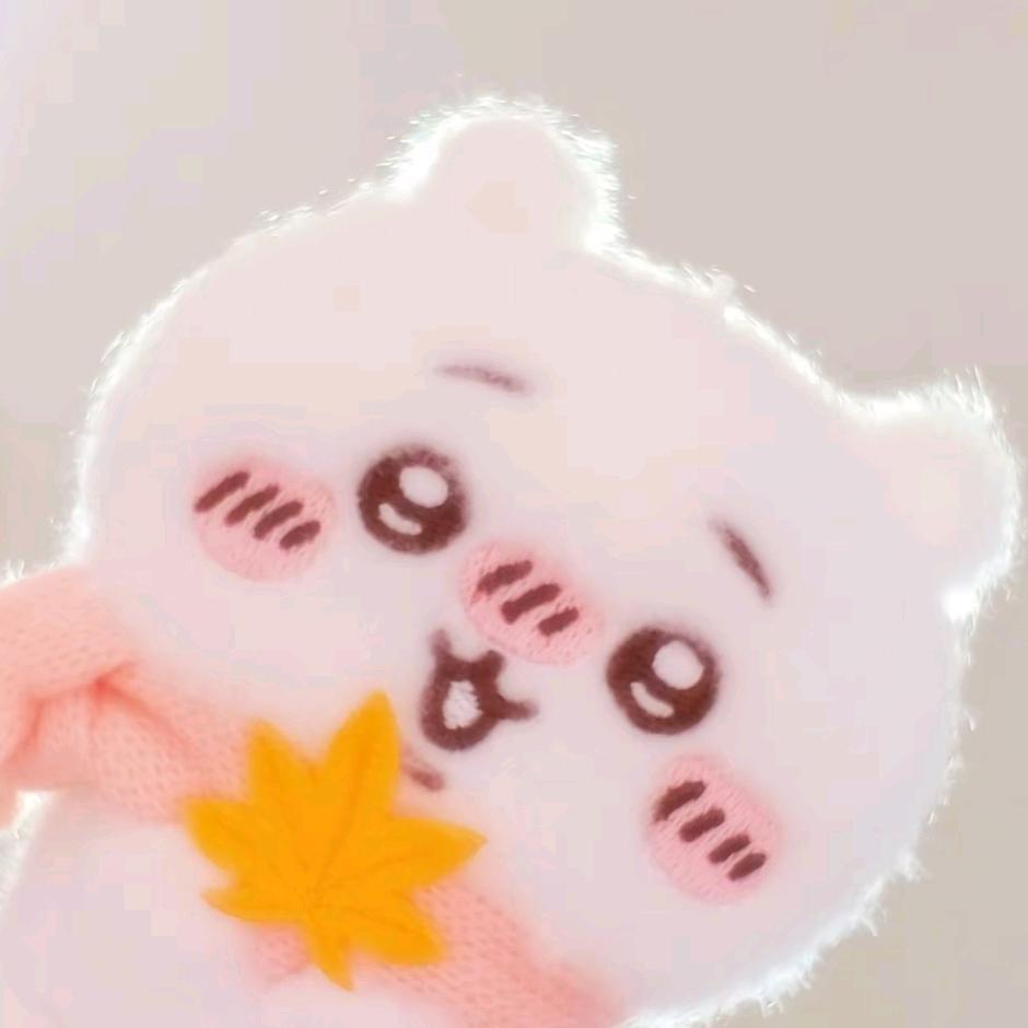嘬鸡翅包饭小猫
