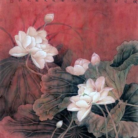 小棉杨k*kkm8kkvn/l