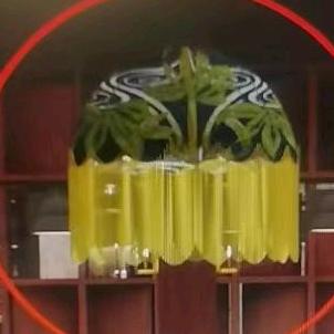 🌈一覽無遺🌈