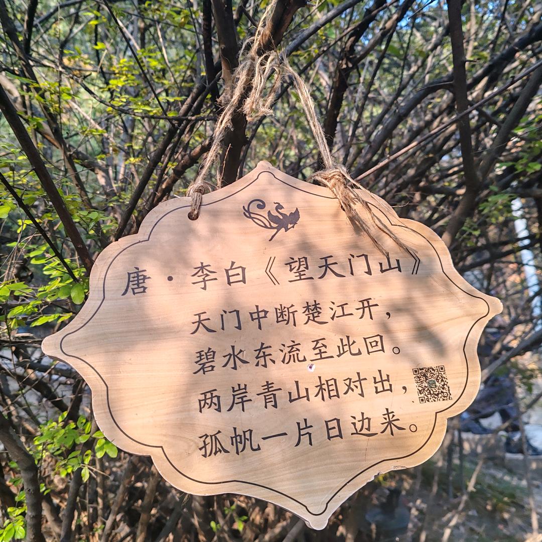 🍀诗与远方🍀2711