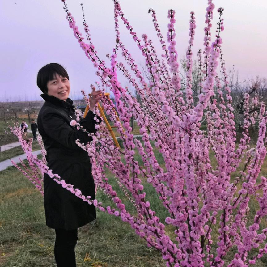 雪莲花21.40开播