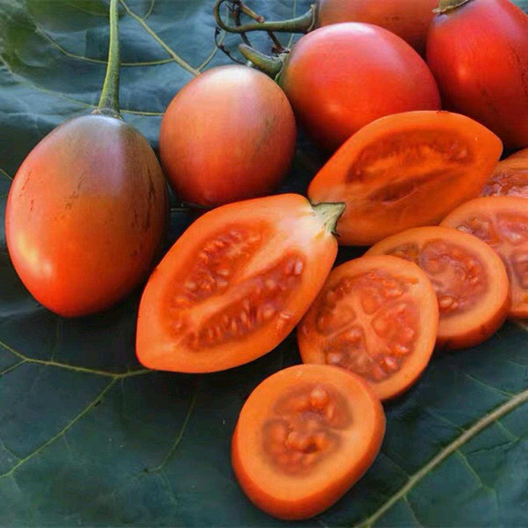 兴泰农业（啊松）