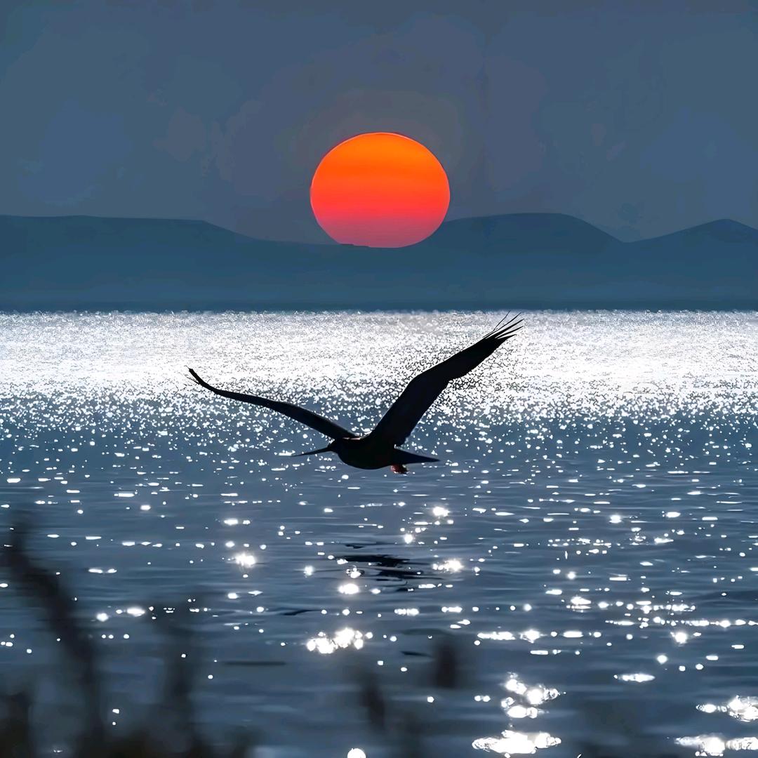 🕊 ༅༊᭄ᮨ一笑而过🕊 ༅༊᭄ᮨ