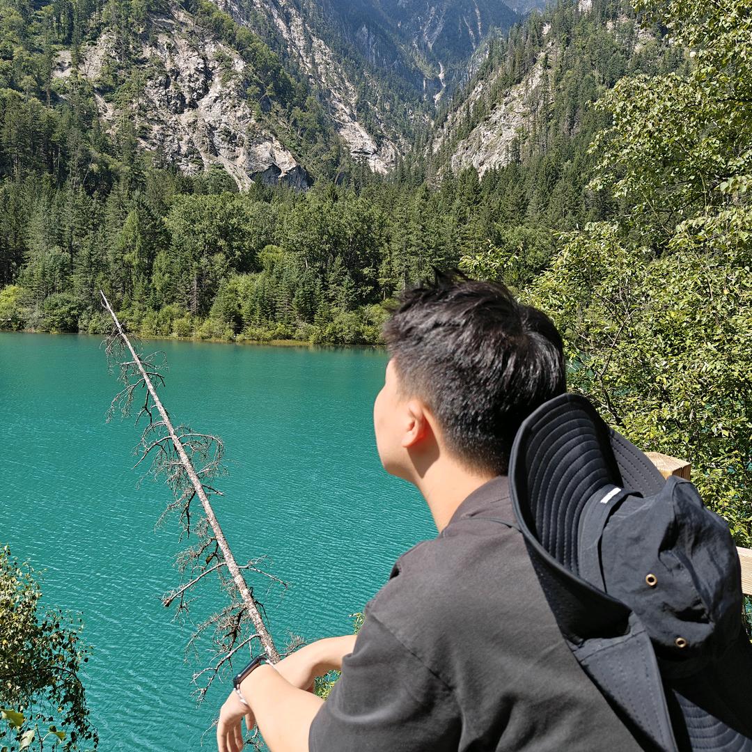 小黄鸡的话匣子