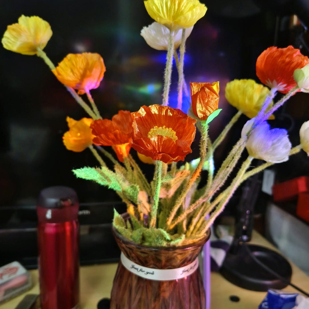 秋天天的菊花🌸