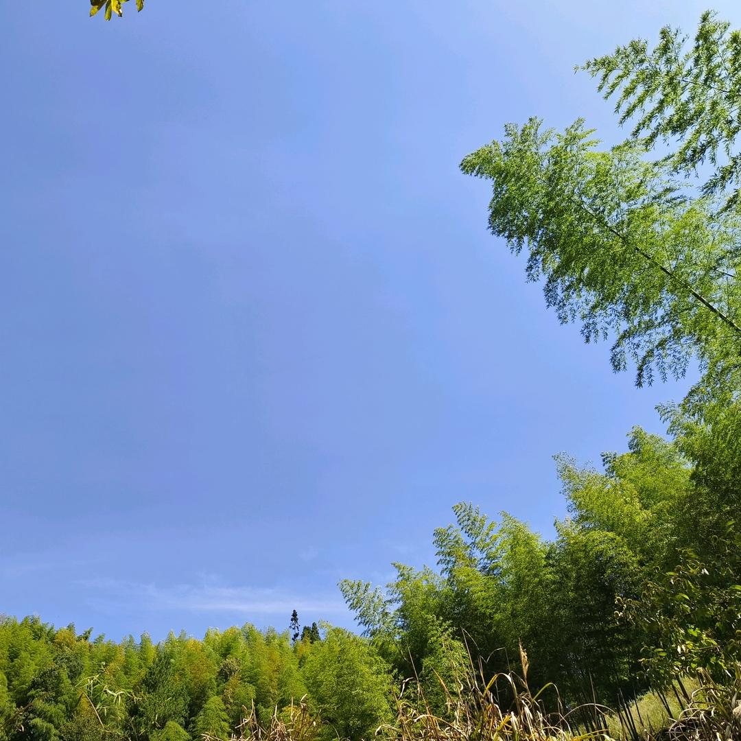 格子控——