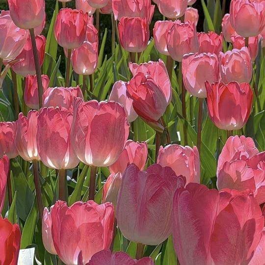 【永年卖珠宝的】燕姐