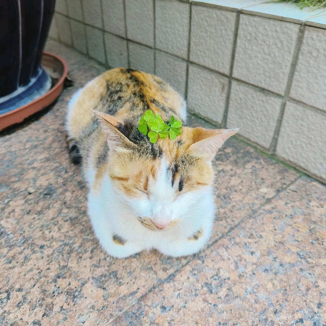 45°仰望天空