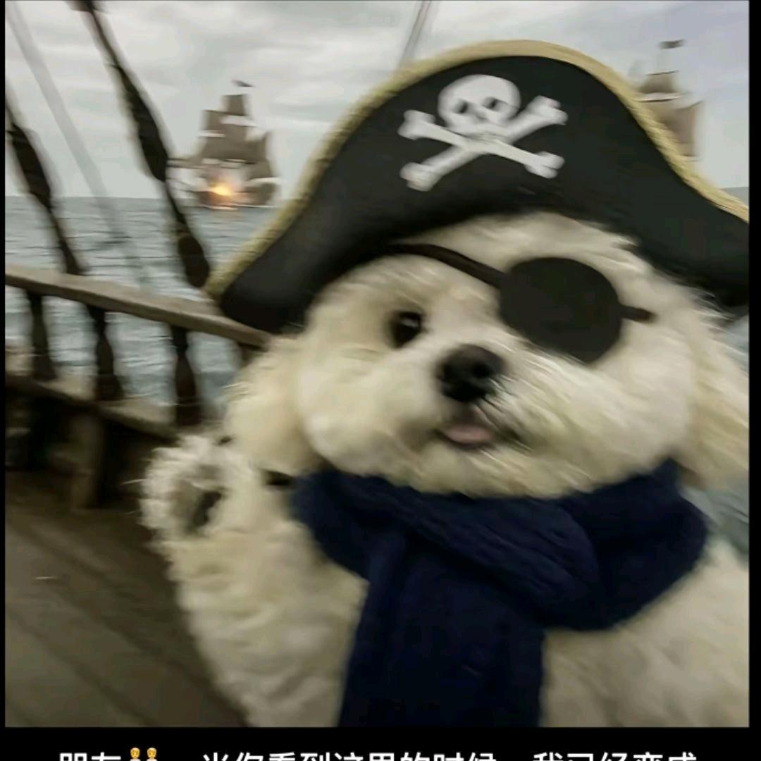 X﹏X无