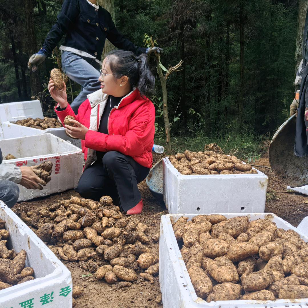 赫章县肥纯农产品经营部（个体工商户）