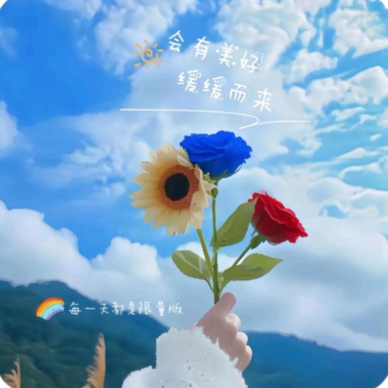 星落凝成糖