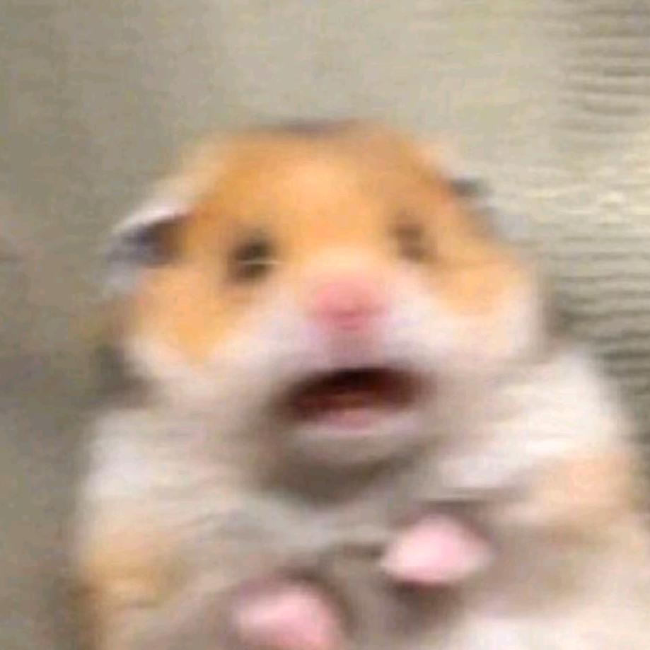 扶老奶奶闯红灯