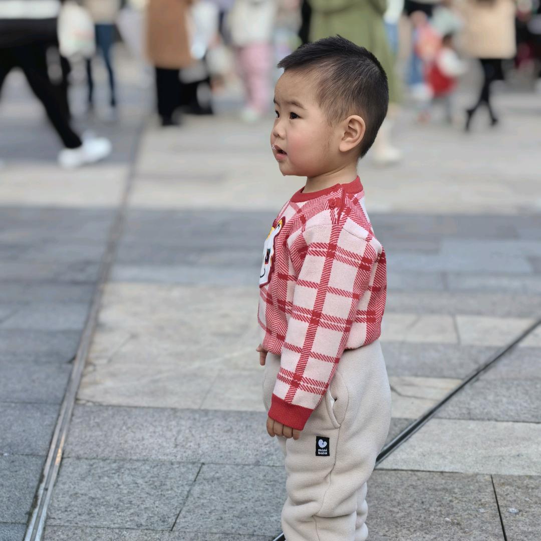 金毛小狮王