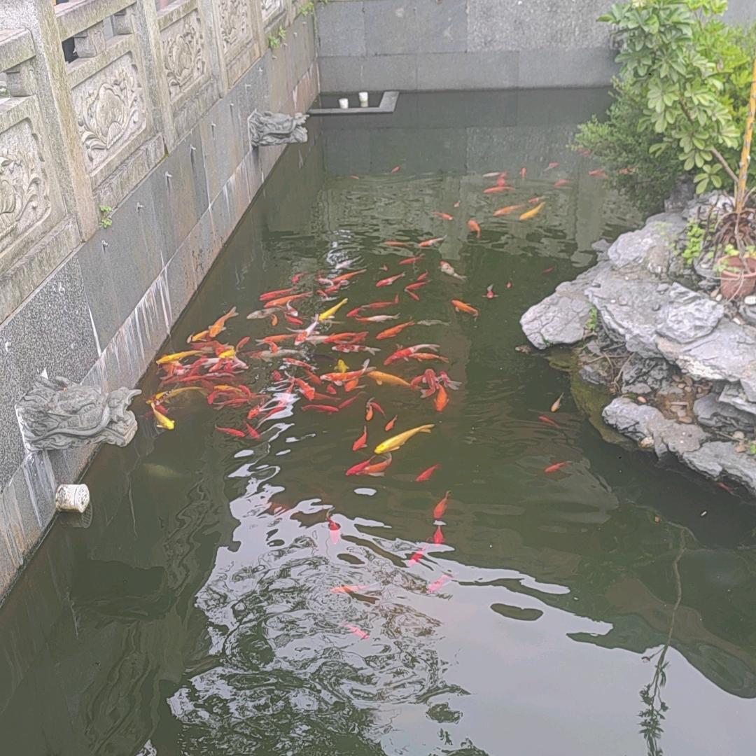 被你遗忘在某个角落