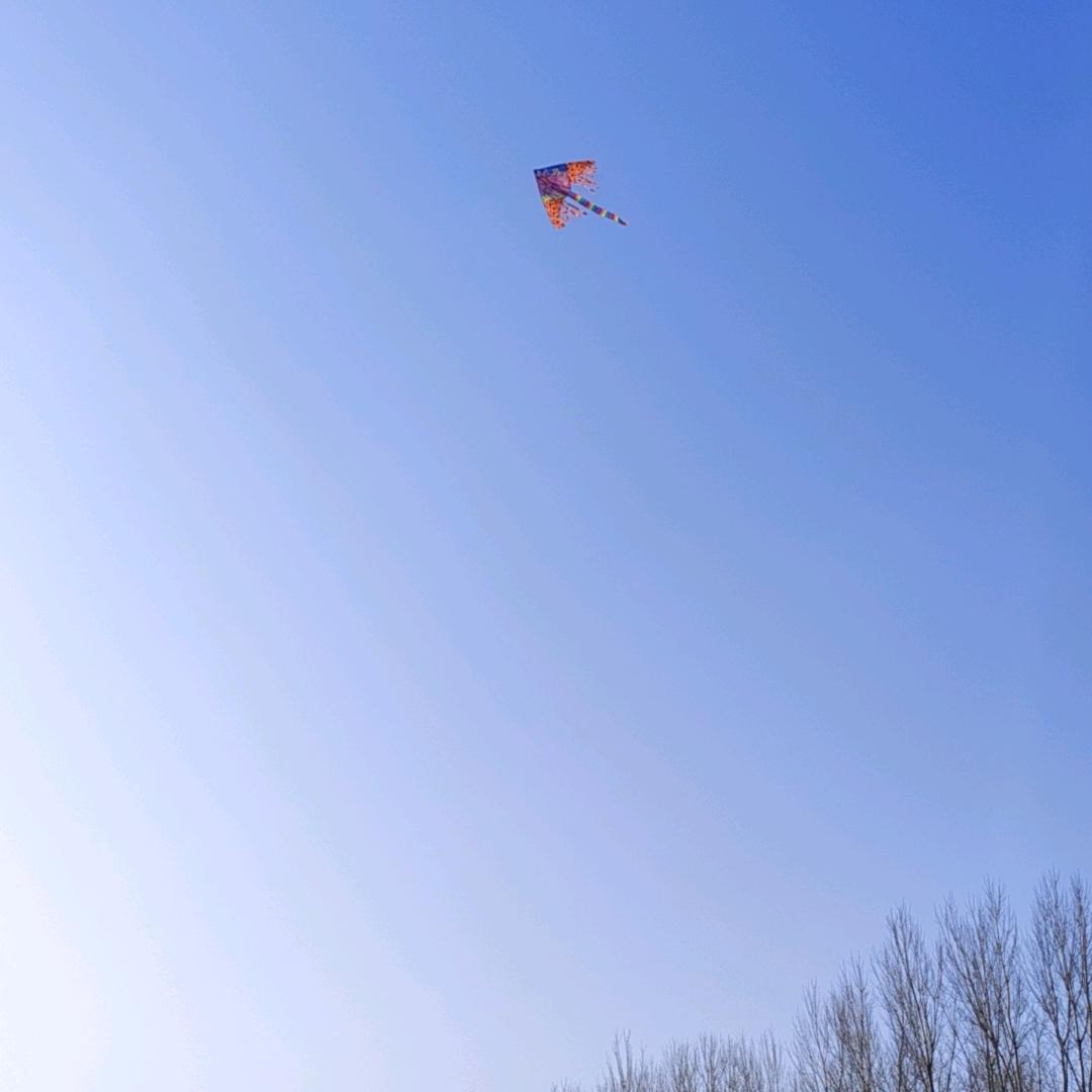 你好调pi