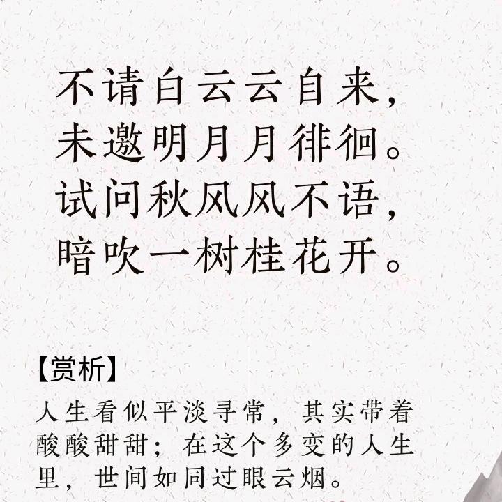 缘来是你