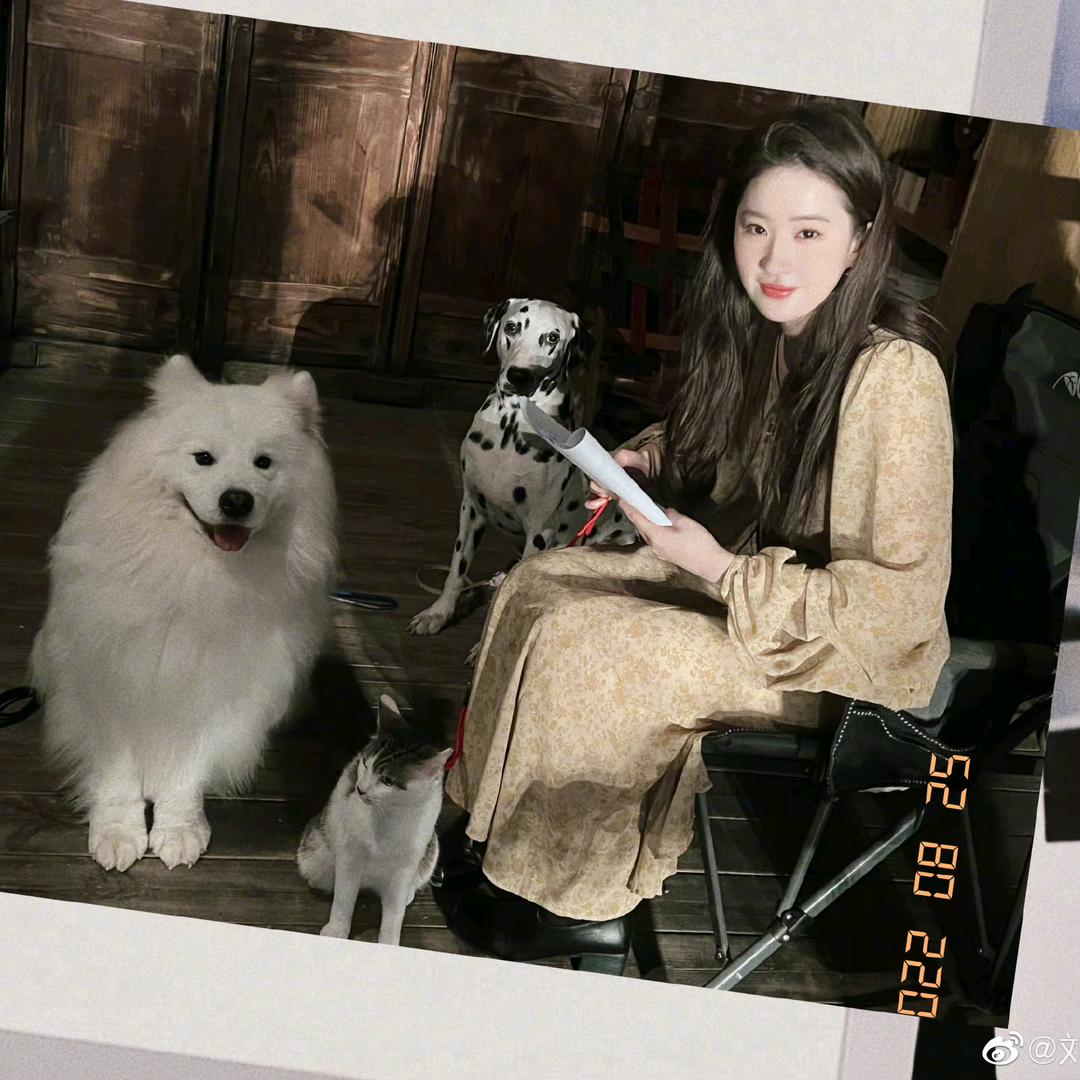 🍓Zhang