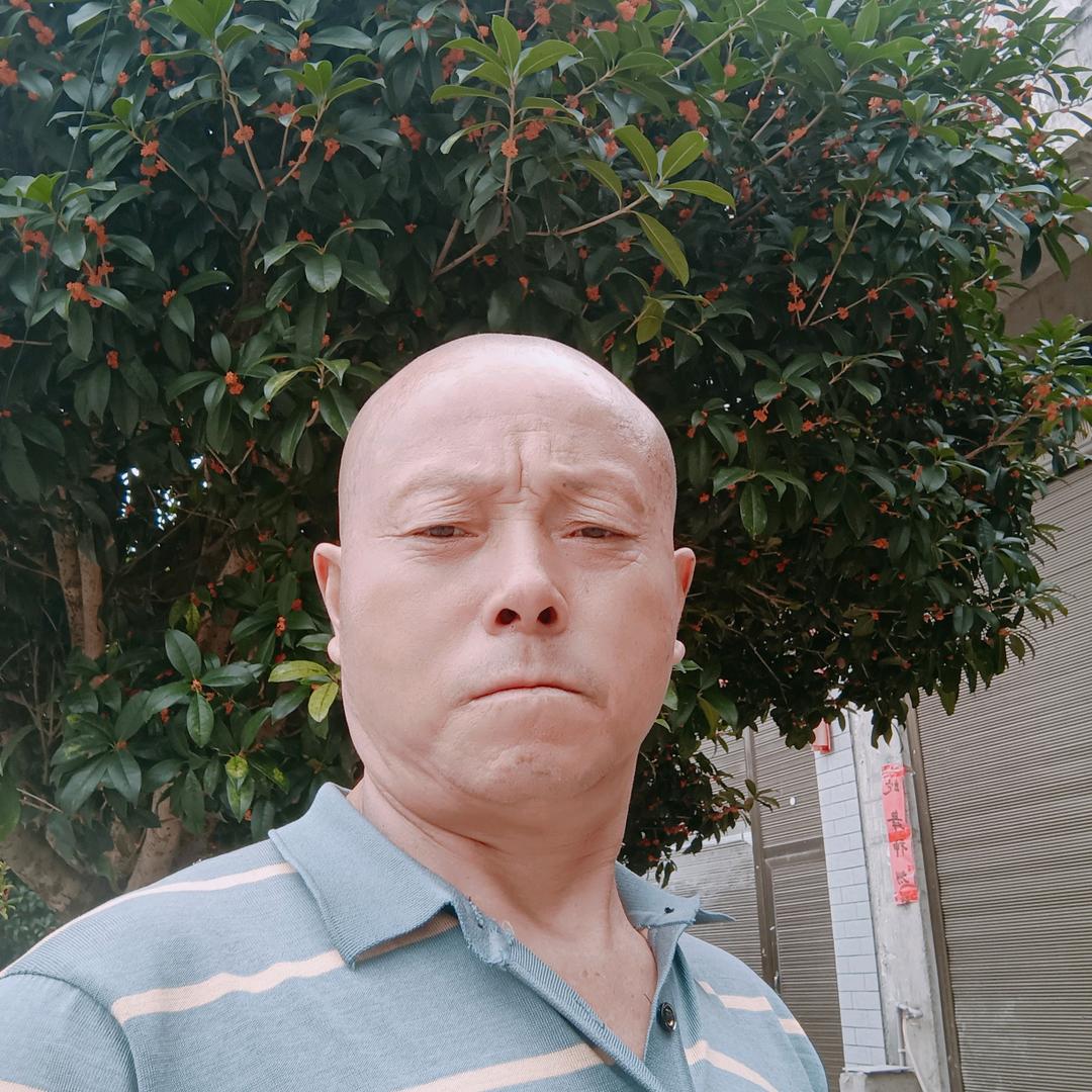 老刘真兴换不来真情