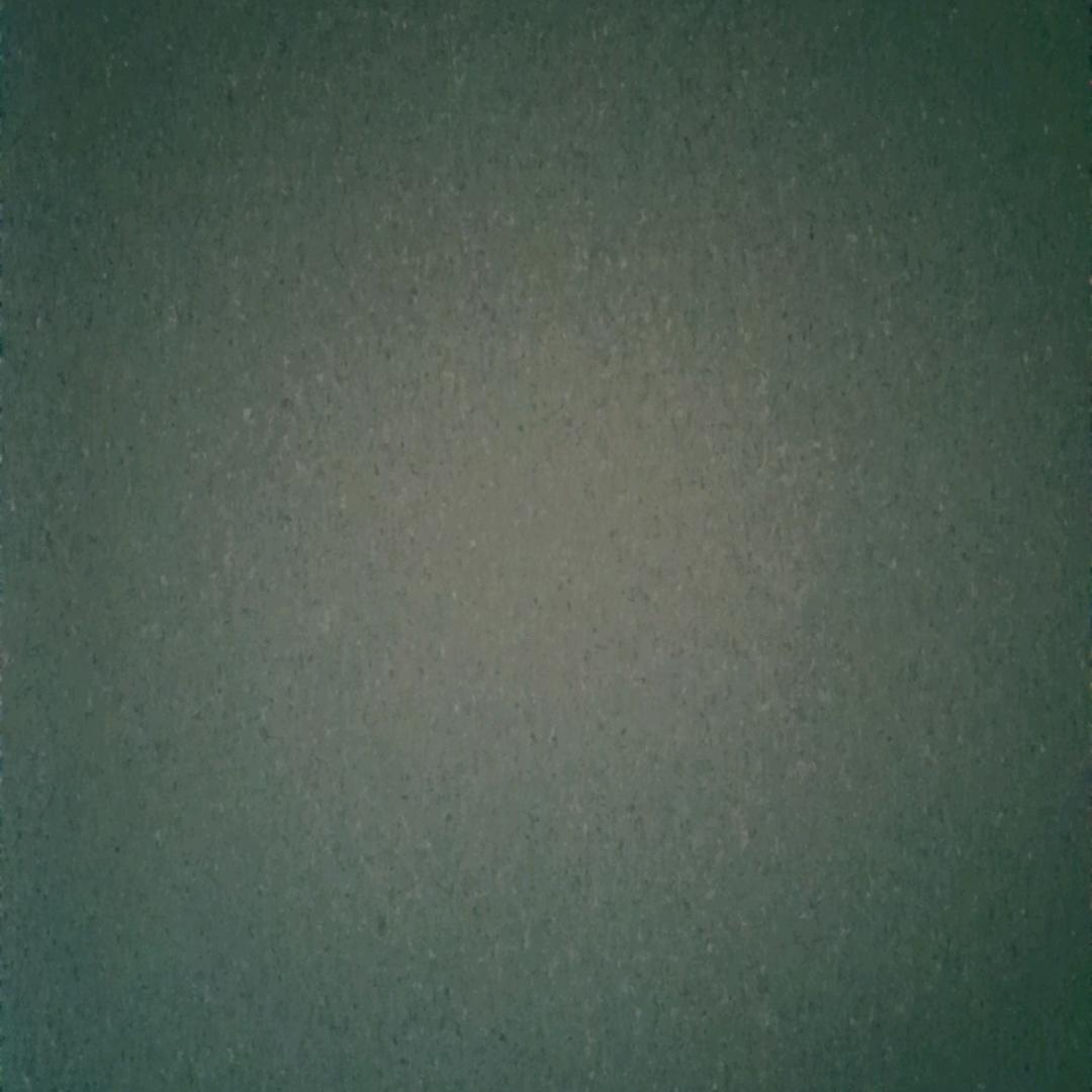 花仙子