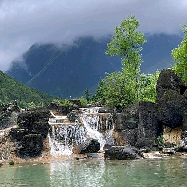 林野
