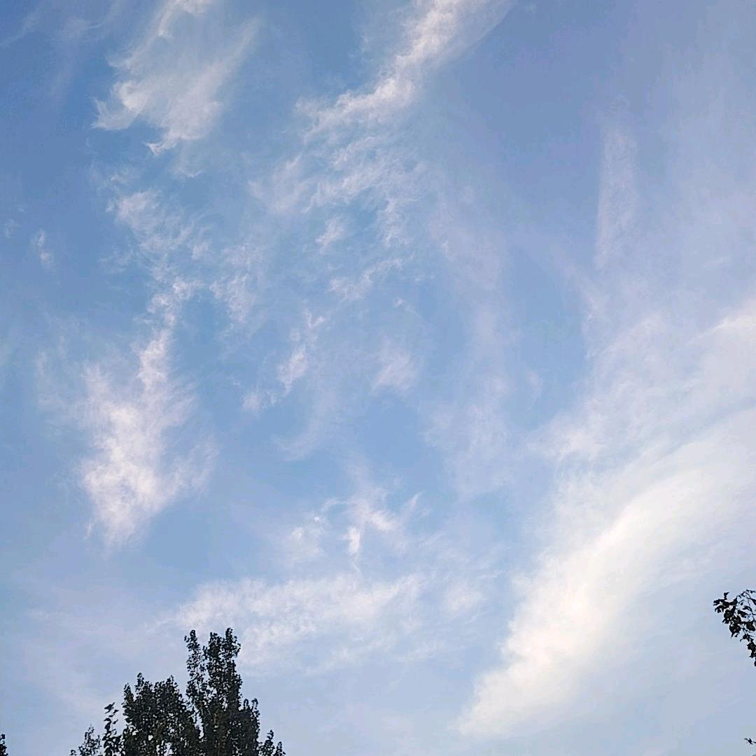 小林子
