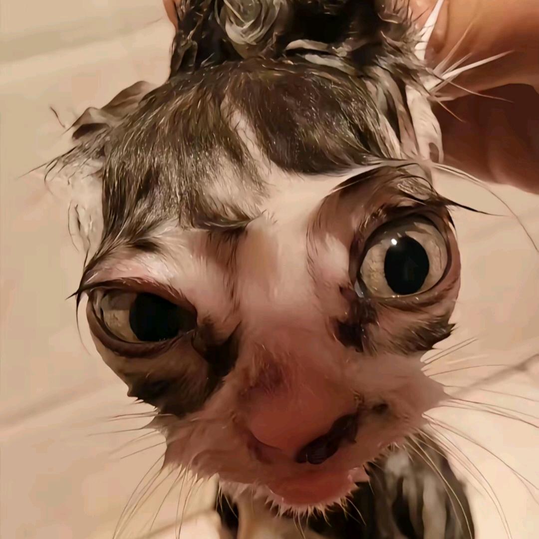 阴天