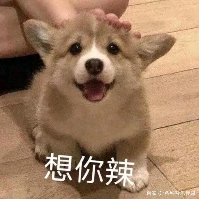 K叔