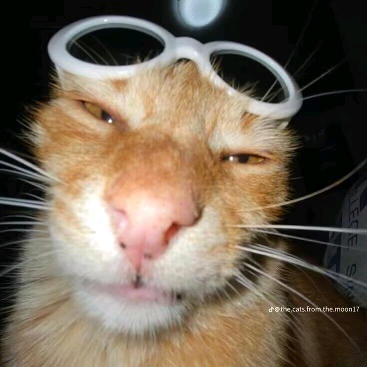 泡泡老师（暗区突围元老-3年老玩家）