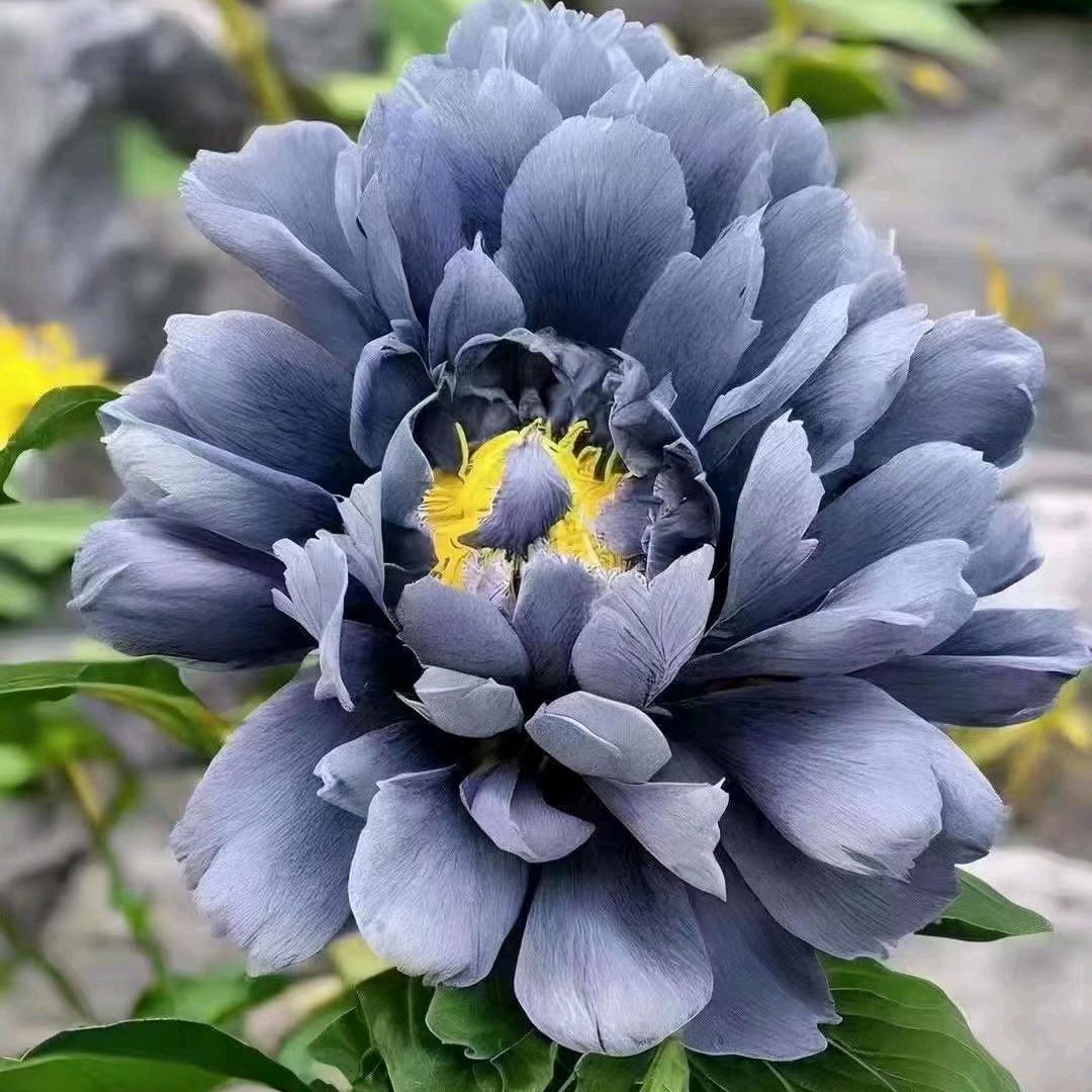 @有缘人&