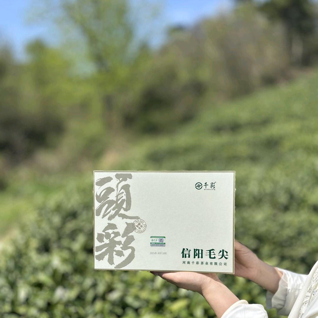 千彩茶业