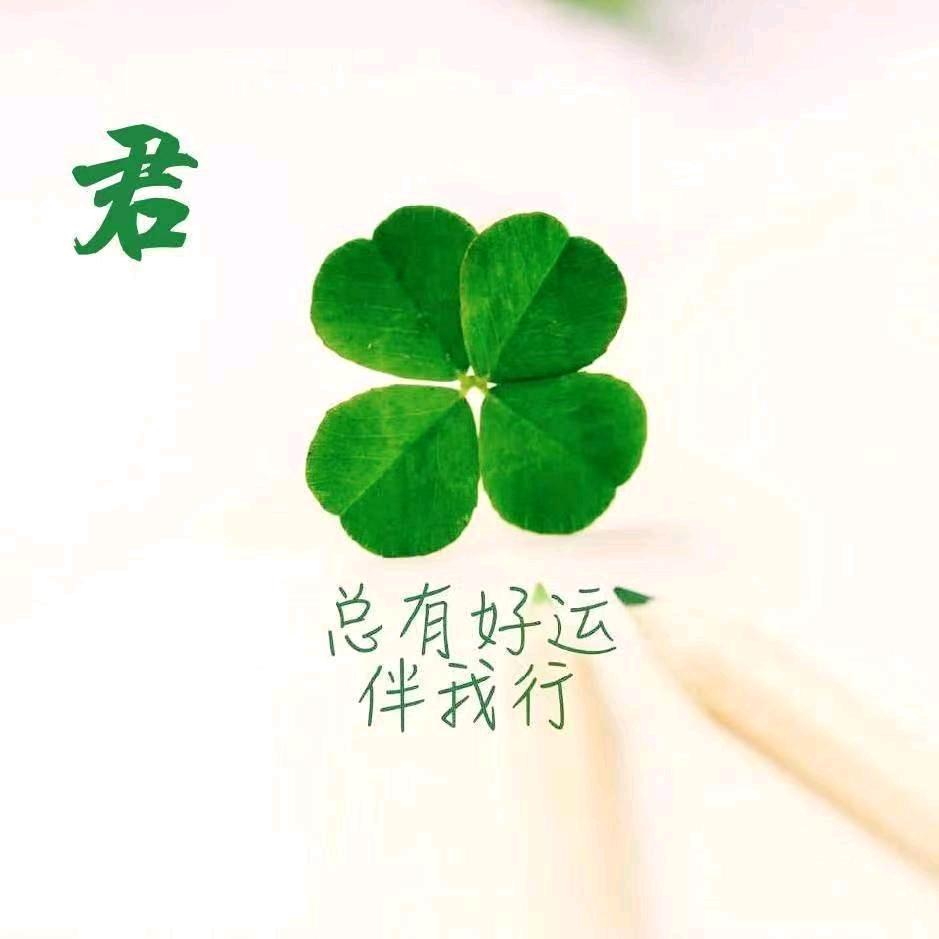 向往🔥🔥🔥