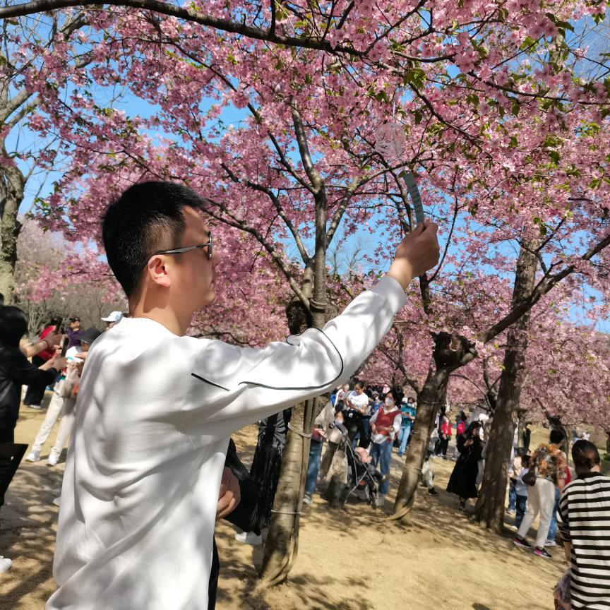 王领