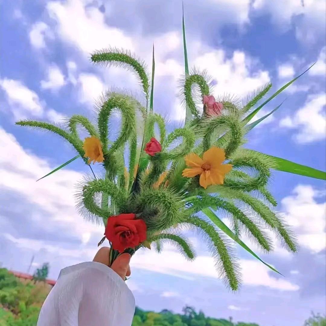 小夢夢