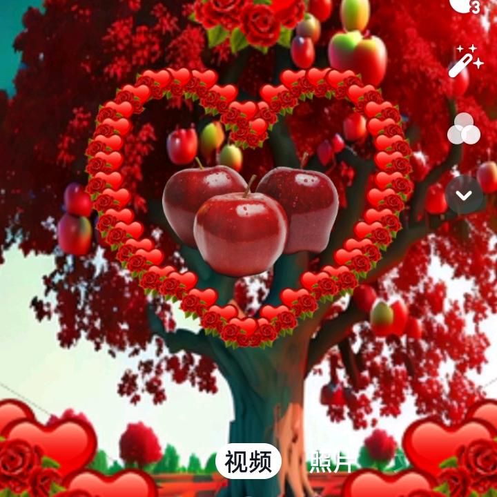 摇钱树